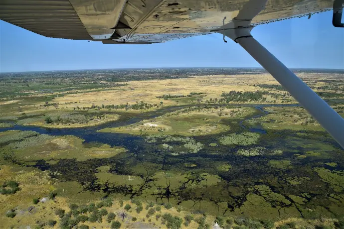 Okavango Delta landscape Botswana aerial view