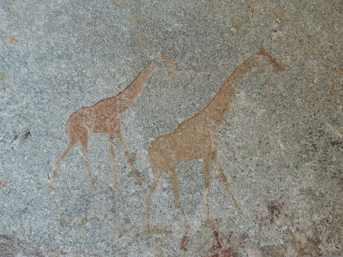 Giraffes rock carvings