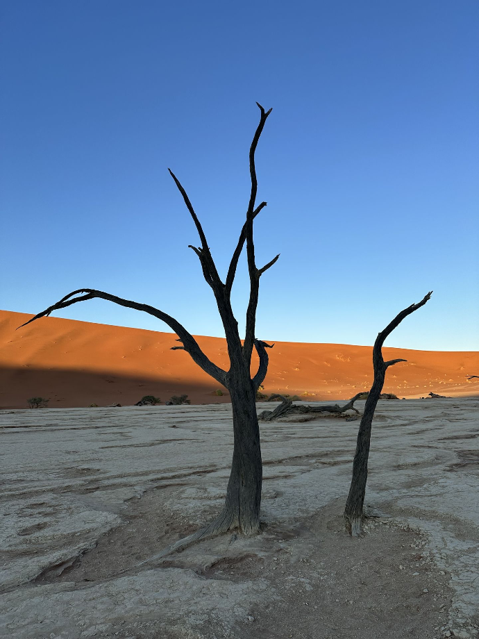 Deadvlei, Namibia
