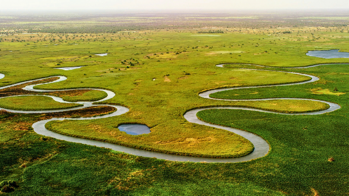 Botswana landscape