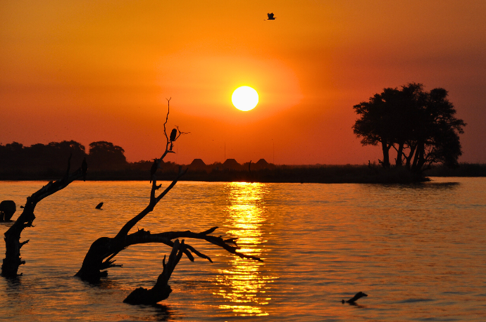 Botswana river