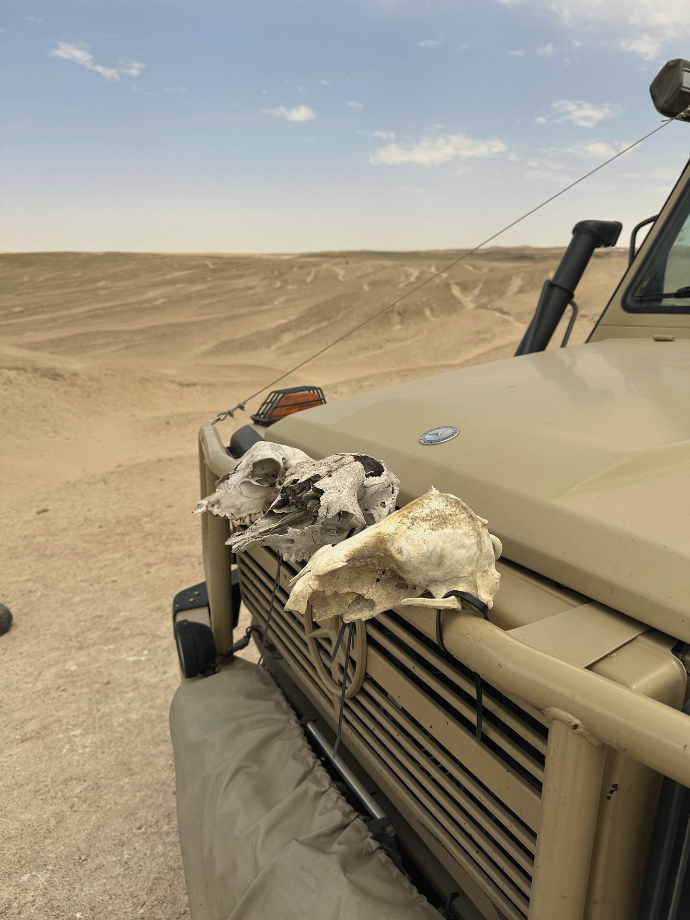 Car in Namibia