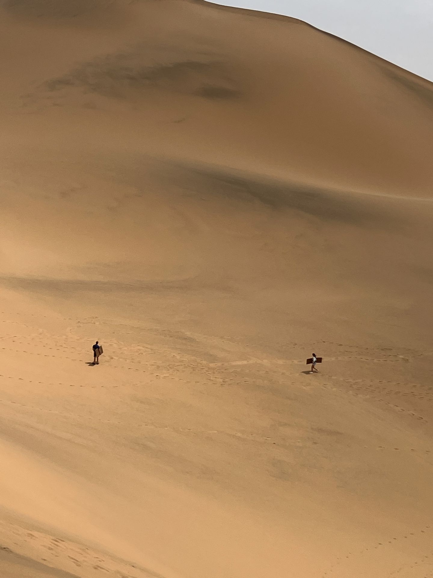 sandboarding