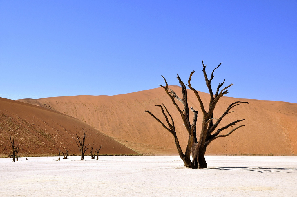 8-Day Namibia Scenic Tour