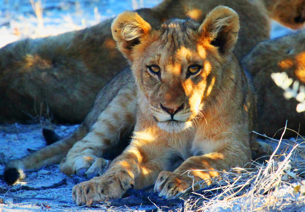 10-Day Namibia Discovery Tour