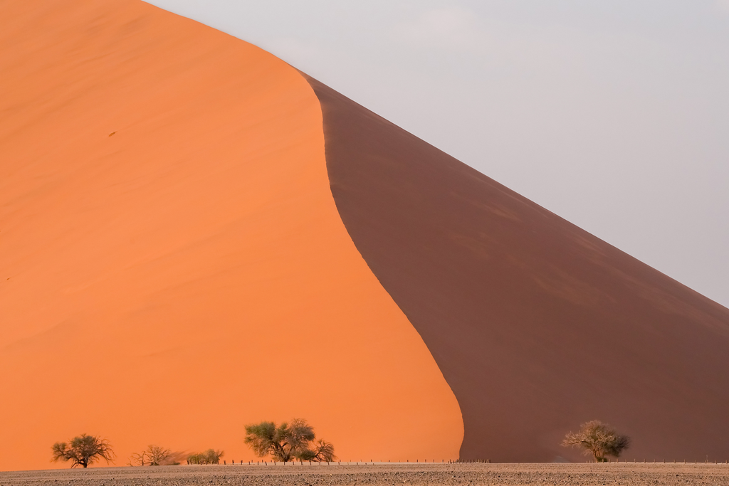 13-Day Grand Namibia Safari